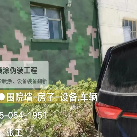三门峡数码迷彩漆施工